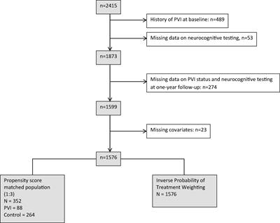 Neurocognitive function in patients with atrial fibrillation undergoing pulmonary vein isolation